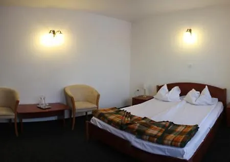 Hotel Paltinis