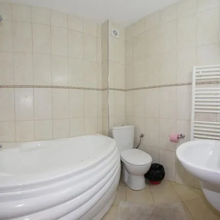 Hotel Paltinis Statiunea