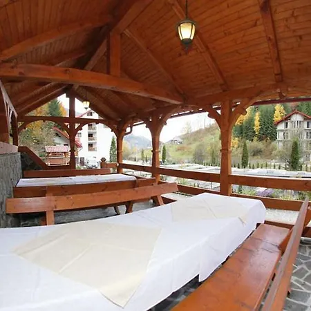 Paltinis 3* Statiunea