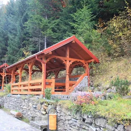 Hotel Paltinis